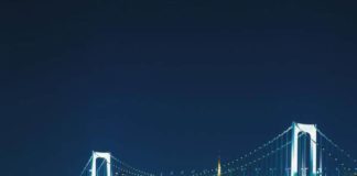 Tokyo Bay Summer Night Cruise: The Definitive Tokyo Summer Experience