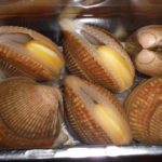 Ishigaki clam