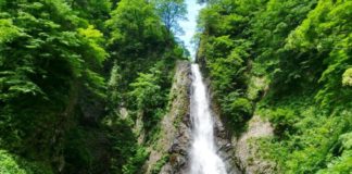 World Heritage (1): Shirakami Sanchi Shirakami Sanchi