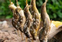 A Taste of Sh旬n: River Fish A Taste of Shun: River Fish