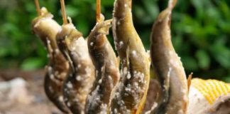 A Taste of Sh旬n: River Fish A Taste of Shun: River Fish