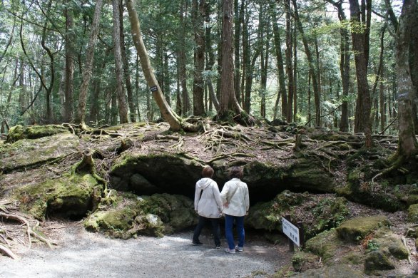 Aokigahara Jukai “Sea of Trees”