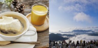 Picturesque Japan: Unkai Terrace