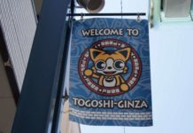 Strolling the Shotengai: Togoshi-ginza