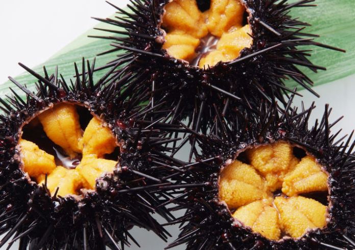 sea urchin sashimi taste