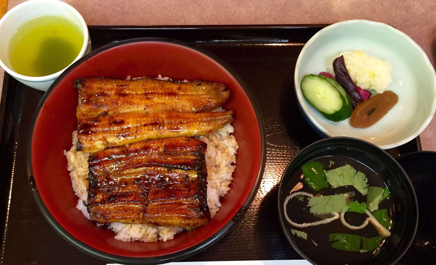 Grilled Eel Rice Bowl