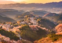 Japan`s World Heritage Sites: Kumano Pilgrimage Route Kumano Pilgrimage Route