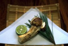 A Taste of Sh旬n: Matsutake Mushrooms Matsutake