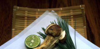 A Taste of Sh旬n: Matsutake Mushrooms Matsutake