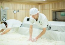 Shichiken: A Traditional Sake Brewery With Modern Ideas Shichiken