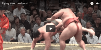 Why Cushions Fly In A Sumo Match
