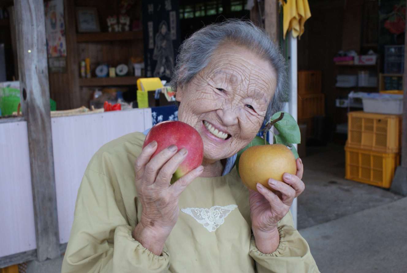 Go fruit picking in an orchard