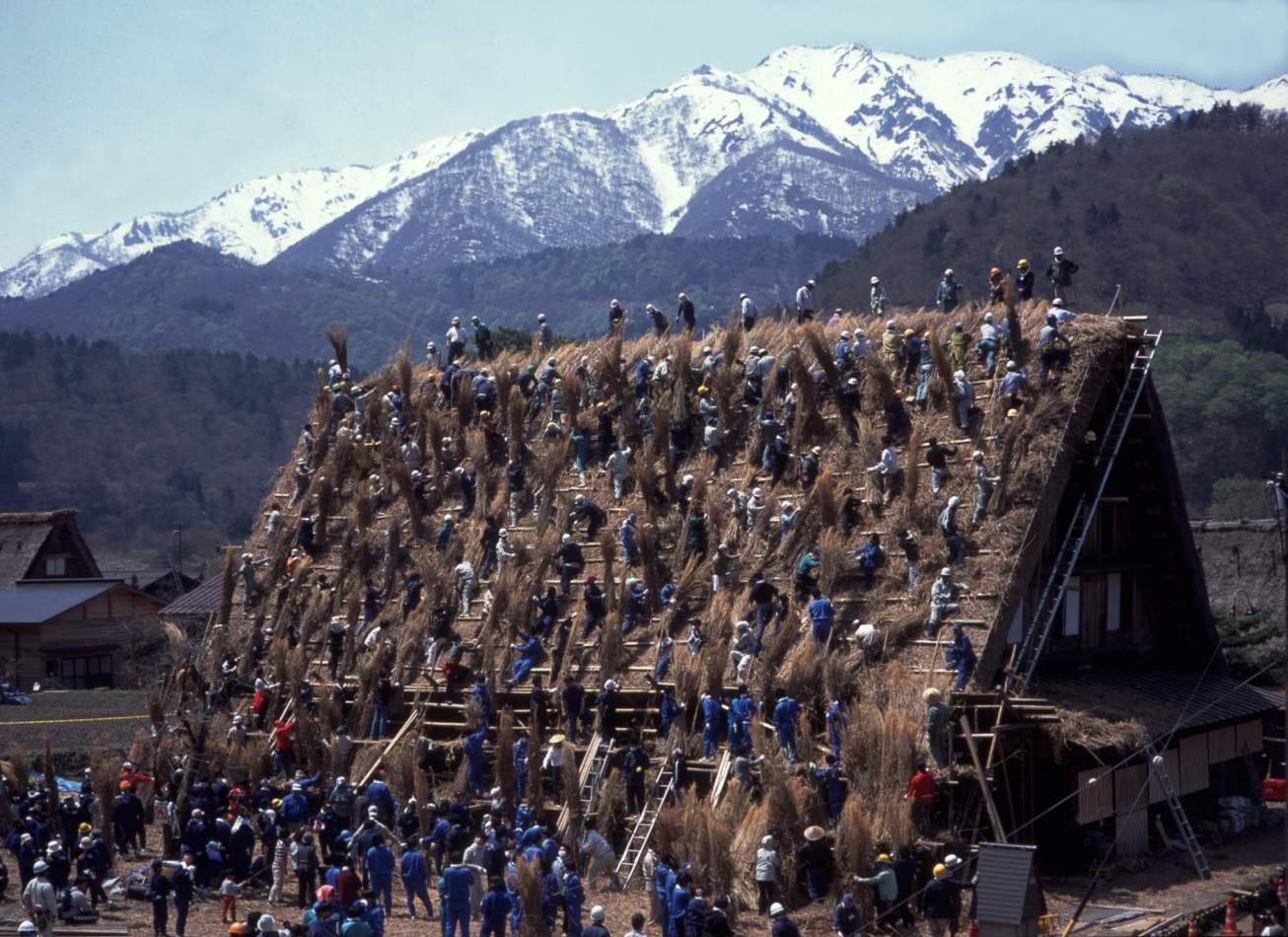 re-thatching of the roofs