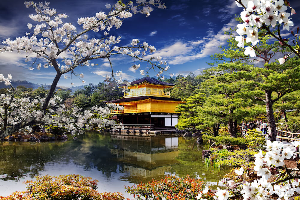 Kinkakuji Temple in Spring Season