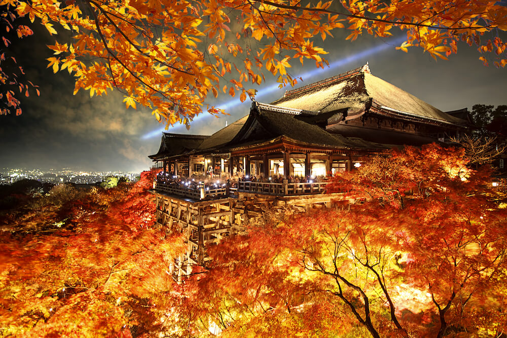 Kiyamizu-dera Temple in Autumn Season Light-up Event