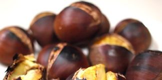 A Taste of Sh旬n: Nuts over Chestnuts Chestnuts