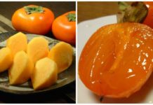 A Taste of Sh旬n: Say Cheese To Persimmon Persimmon