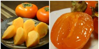 A Taste of Sh旬n: Say Cheese To Persimmon Persimmon