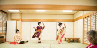 Life inside the Flower and Willow World