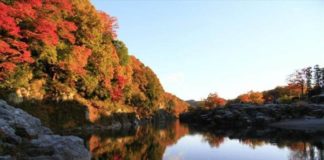 Nagatoro Saitama Maple Autumn Leaves Hunting in Japan
