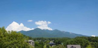 Nakamura Keith Haring Collection: New York pop art in Yamanashi Hokuto city in Yamanashi