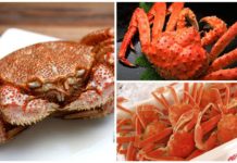 A Taste of Sh旬n: Japanese Autumn Crab