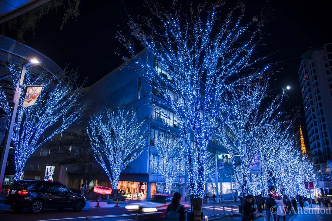 Illumination At Keyakizaka Dori Street Roppongi Hills Wattention Com