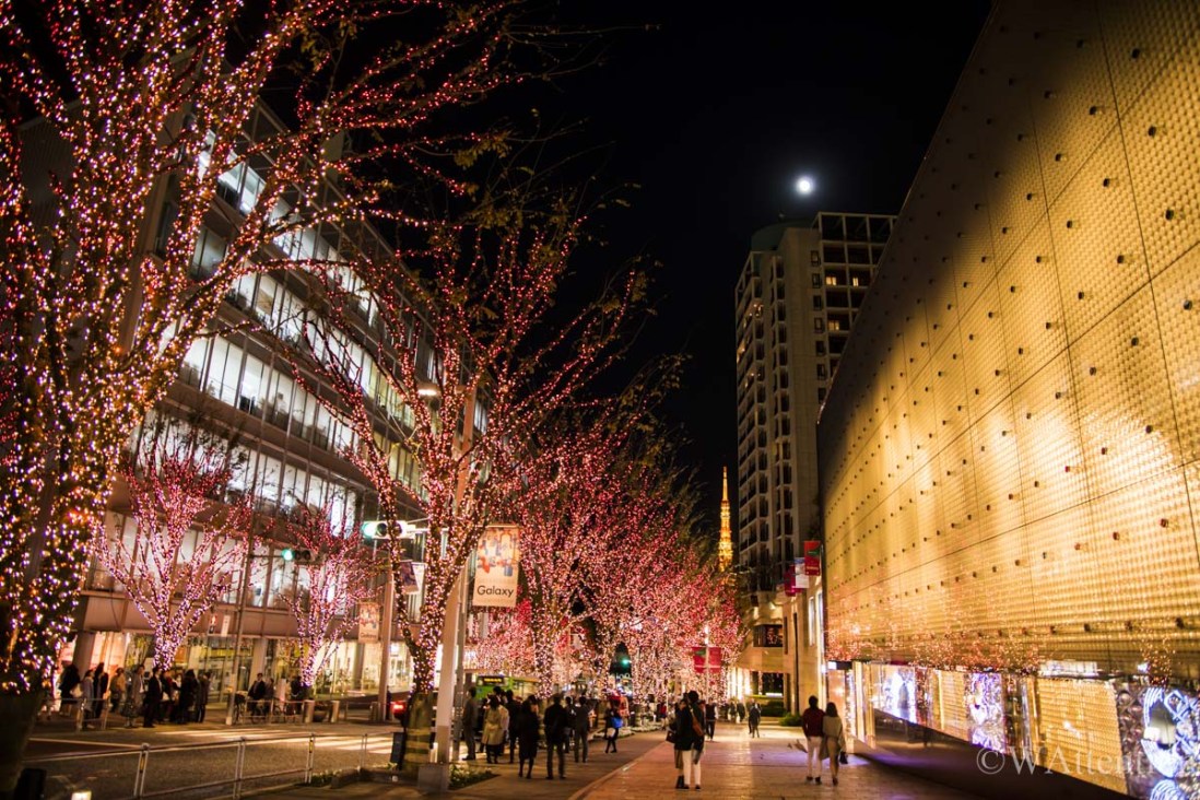 Illumination At Keyakizaka Dori Street Roppongi Hills Wattention Com