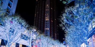 Illumination at Keyakizaka-dori Street Roppongi Hills