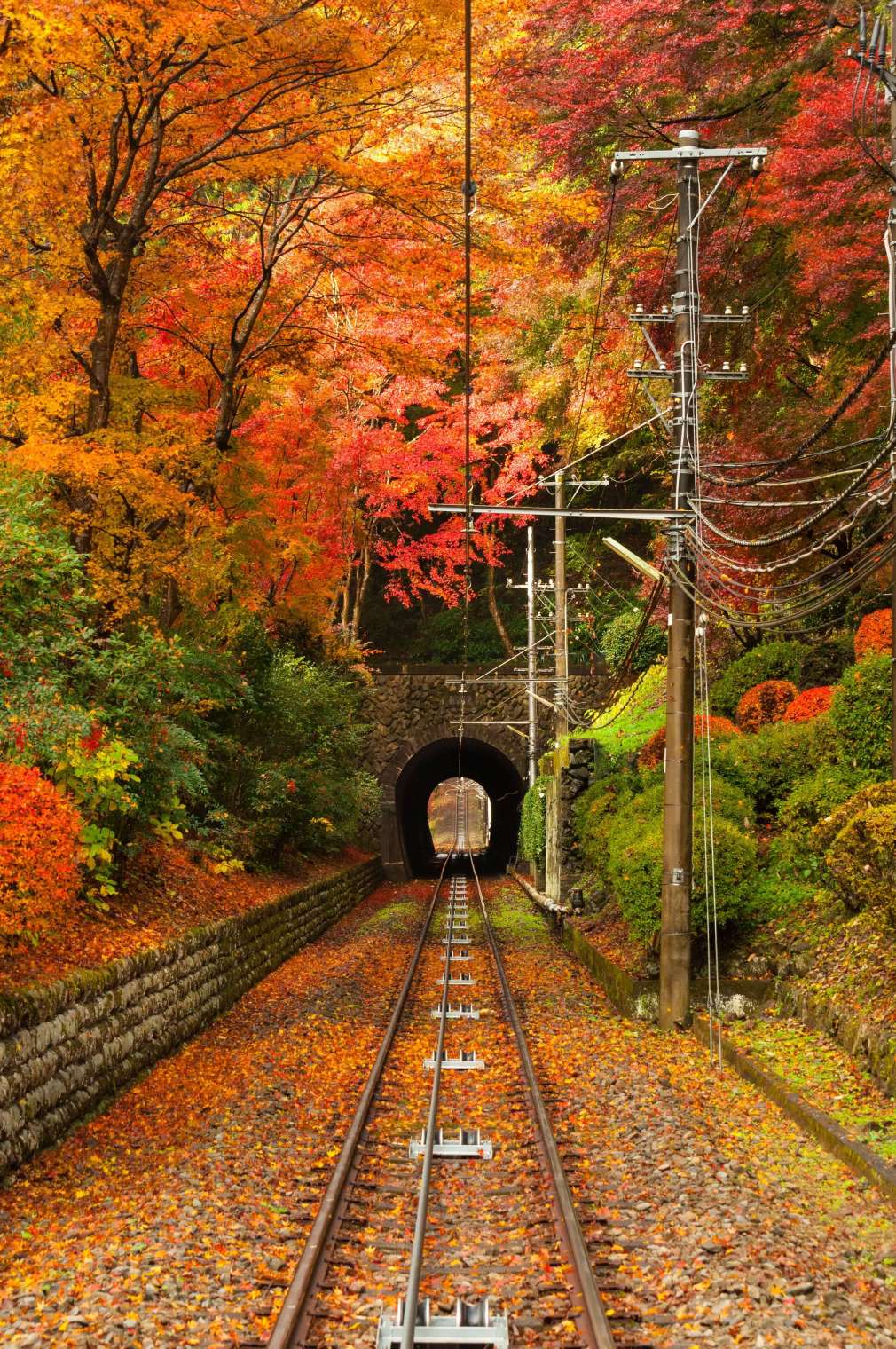 Mt. Takao