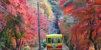 Maple hunting in Tokyo: Mt. Takao