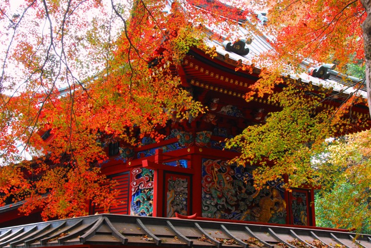 Mt. Takao