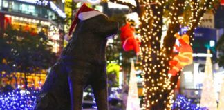 Christmas Illumination @ Hachiko