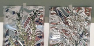 Have a Herbal Harvest! Have a Herbal Harvest