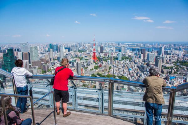 View from the Roppongi Hills