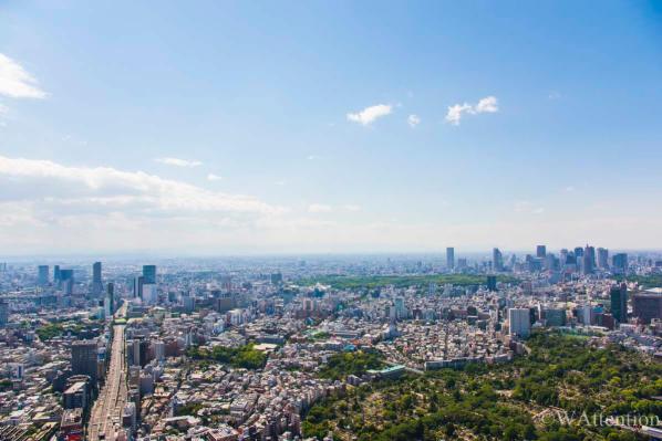 View from the Roppongi Hills