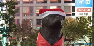 Get your Hachiko selfie, Santa-style Get your Hachiko selfie, Santa-style