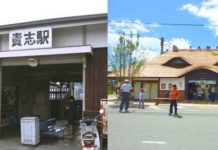 Friendly Station Master Cats of Wakayama