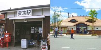 Friendly Station Master Cats of Wakayama
