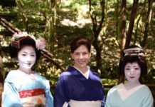 About Geisha Districts