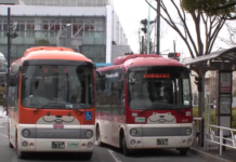Exploring Shibuya on the Hachiko Bus