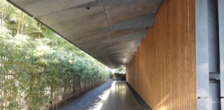 Bamboo street in Nezu Museum Bamboo street in Nezu Museum