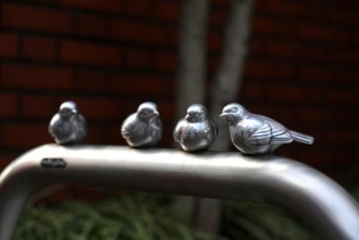 Birds on a guardrail