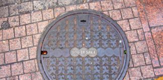 Discover the hidden Hachiko on the manhole!