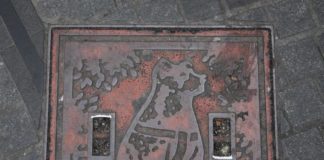 Drainspotting: 3 Shibuya Manholes manhole