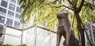 Another Hachiko? Hachiko statue