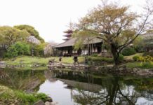 Denbo-in, Asakusa’s Secret Garden