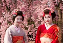 Geisha : Not only in Kyoto