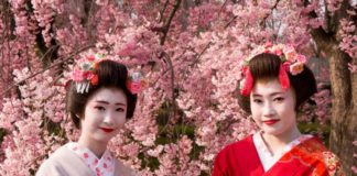Geisha : Not only in Kyoto