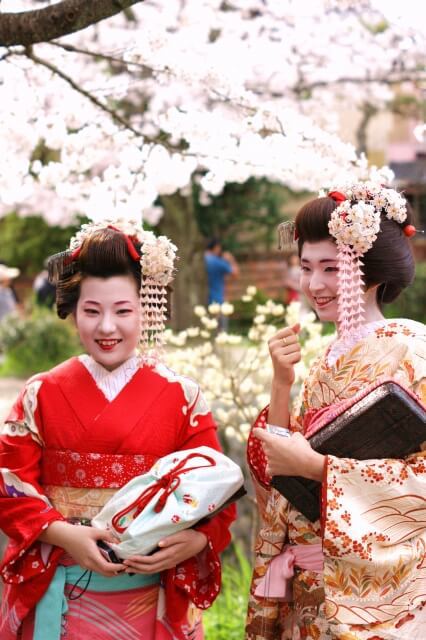 Geicha with Cherry blossom